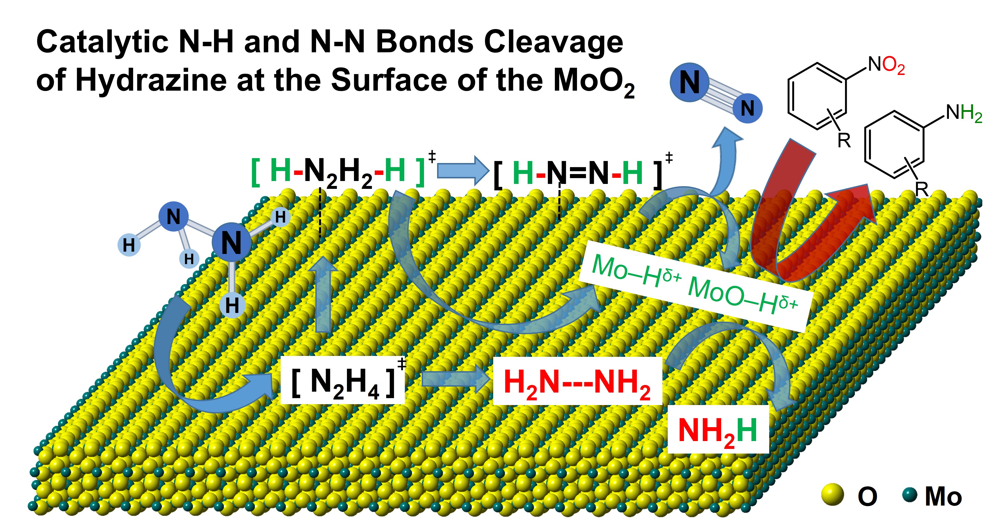 图片1_70048图片1